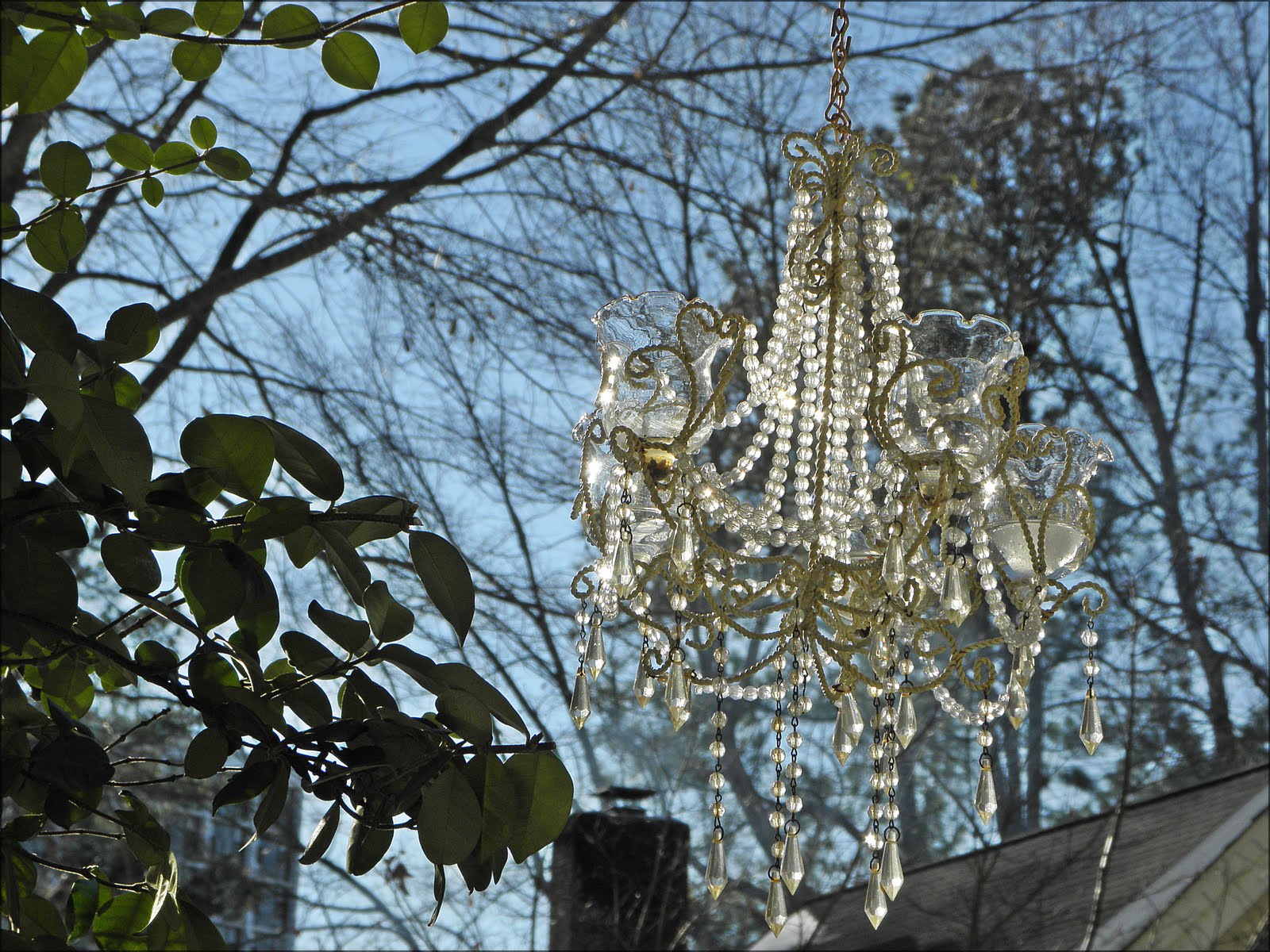 [2009_12_08+117.jpg]