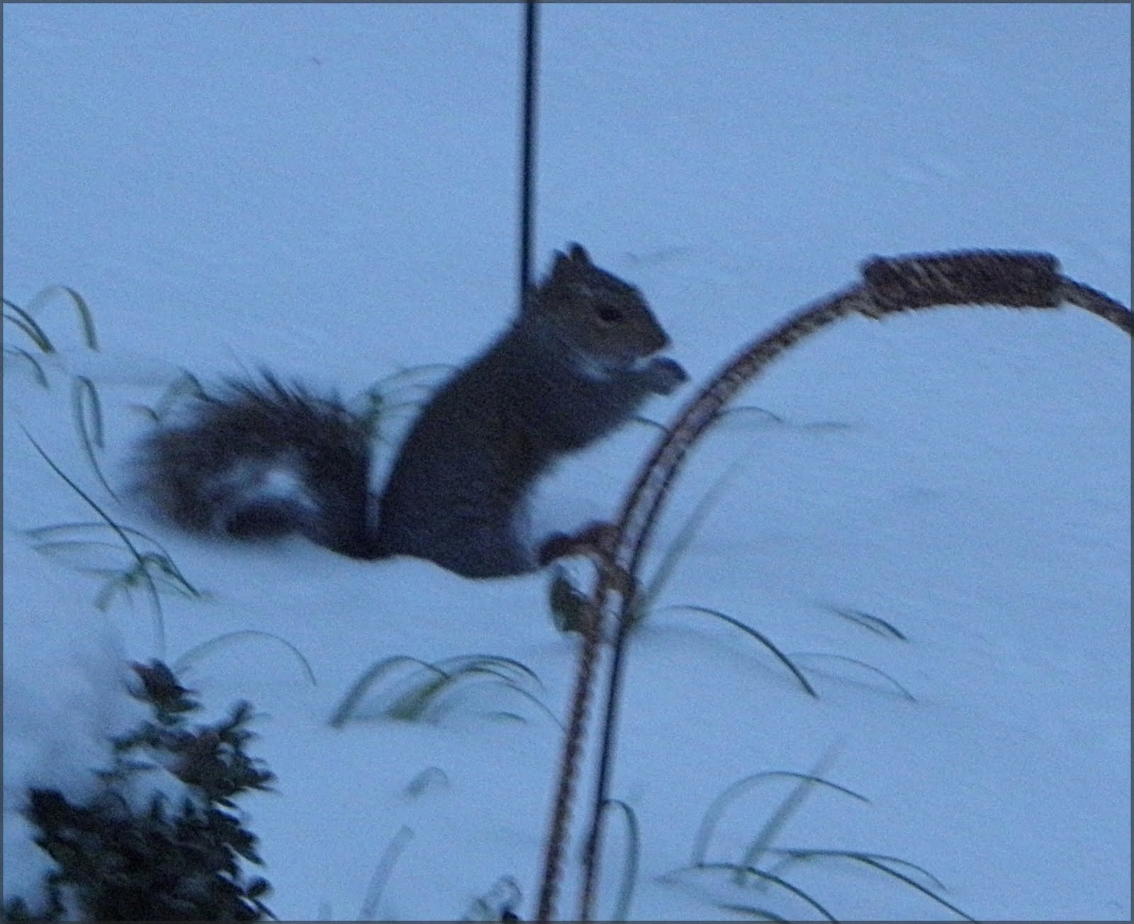 [2009_12_08+065.jpg]