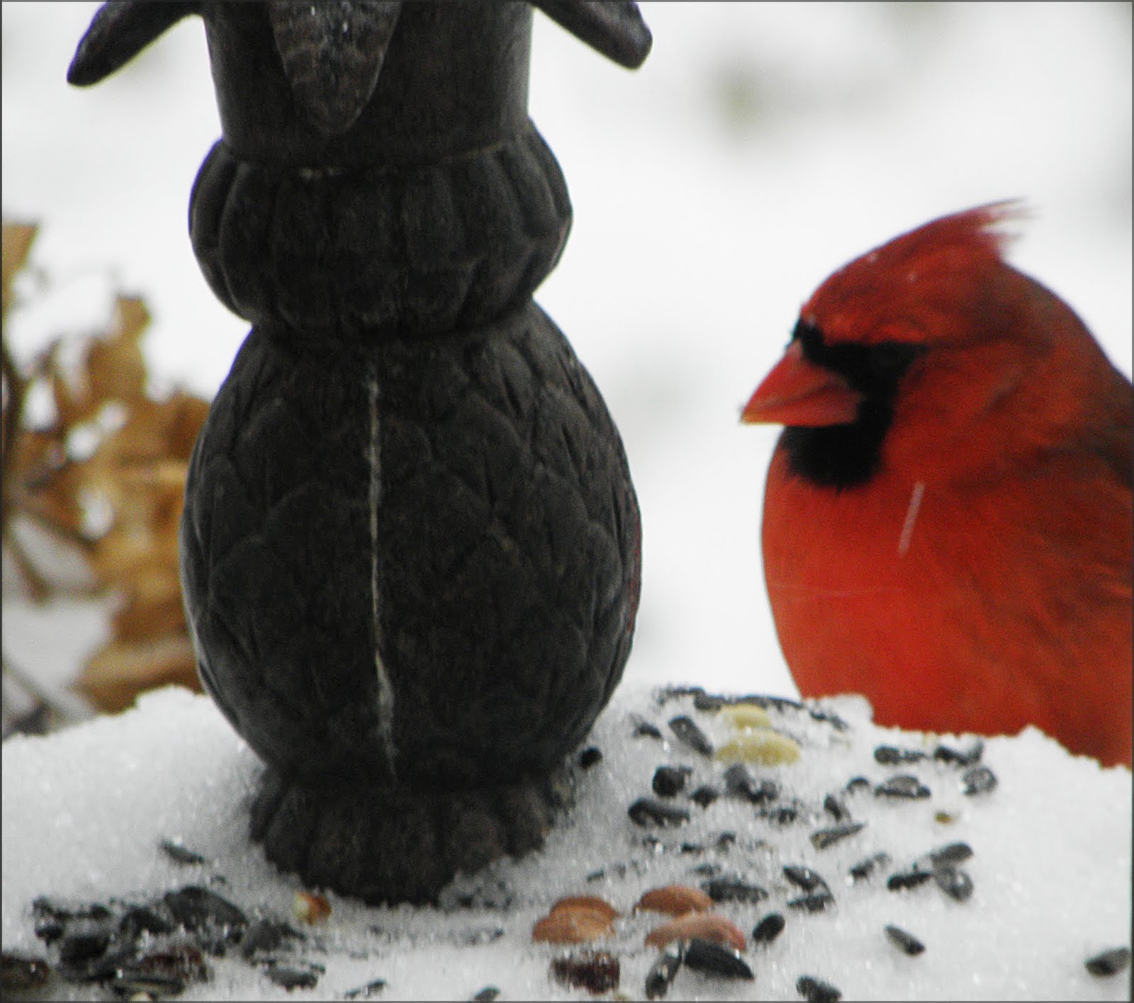 [2009_12_08+107.jpg]