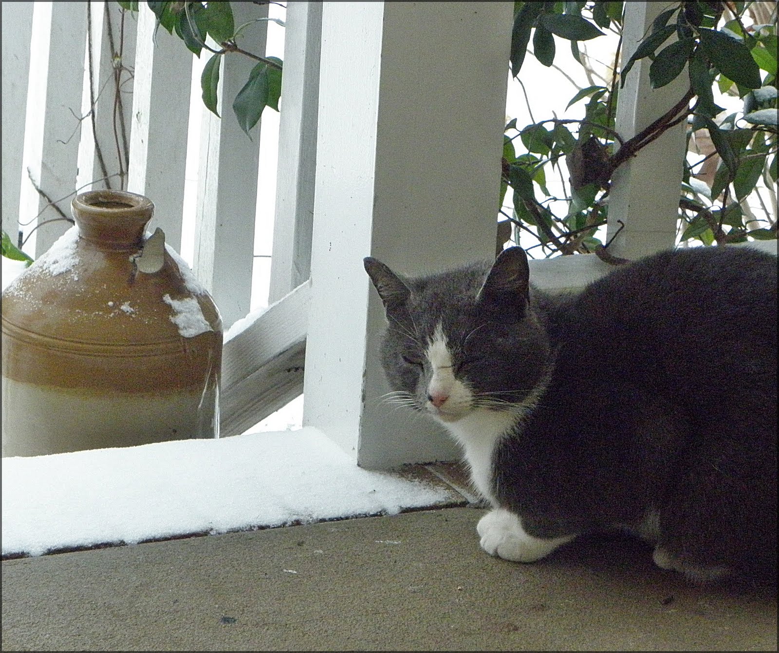 [2009_12_08+205.jpg]