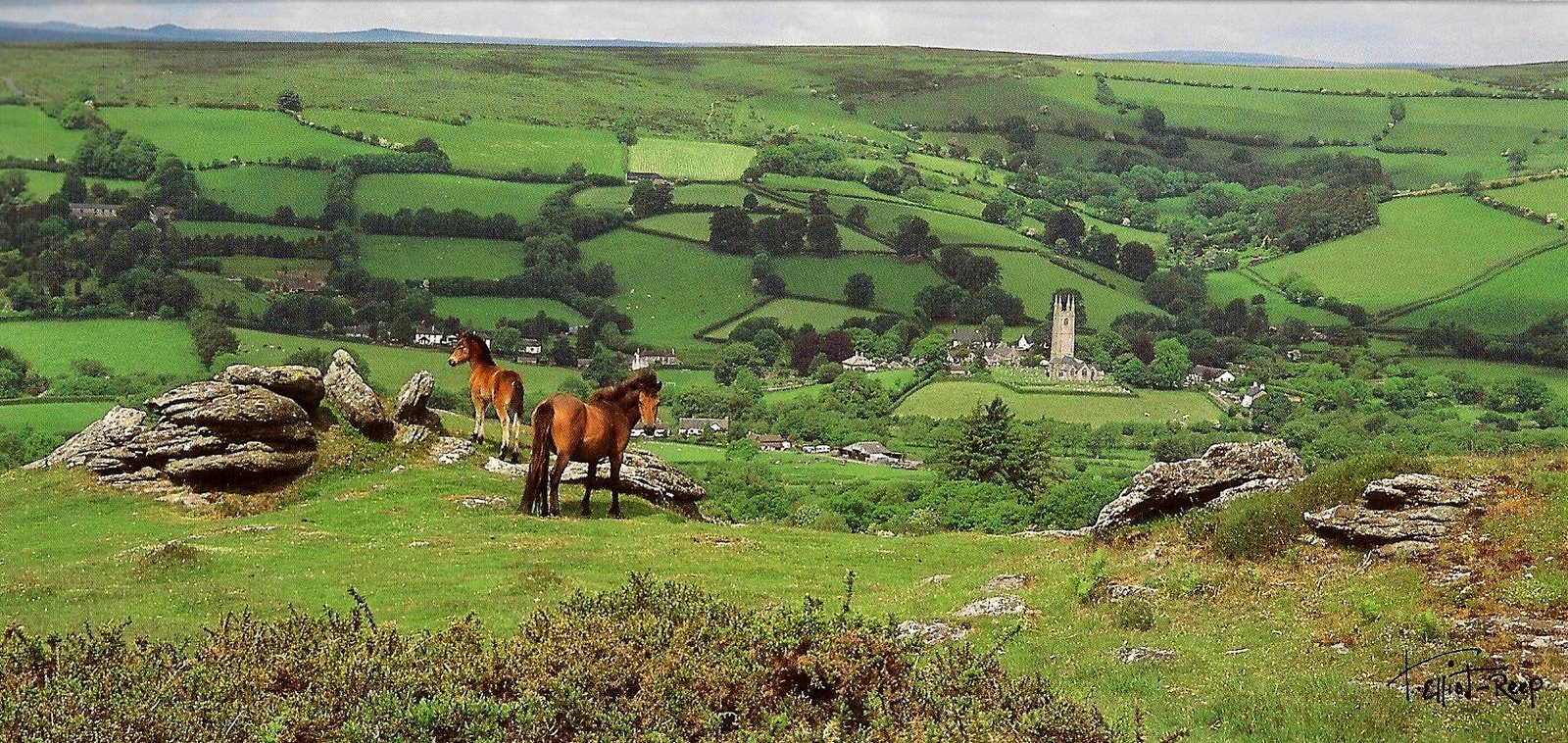 [Dartmoor+2009+001.jpg]