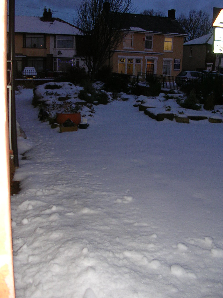 [22dec09+Snow+at+Night+in+Garden.JPG]