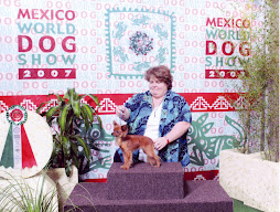 World Dog Show 2007