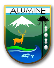 Municipalidad de Alumine