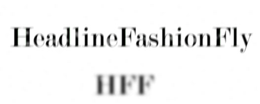 Headline Fashion Fly
