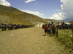 la pasion de mis amigos