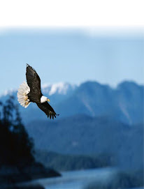 You can't soar with the eagles in the morning if you hoot with the owls all night?