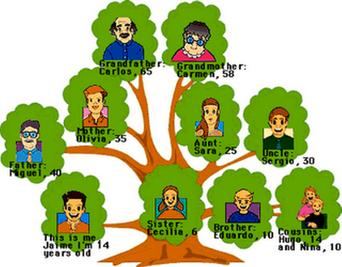 imagenes de un arbol genealogico familiar dibujos de arbol genealogico