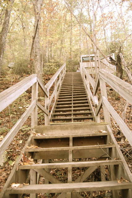 Morgan White Photography: Chimney Rock, NC