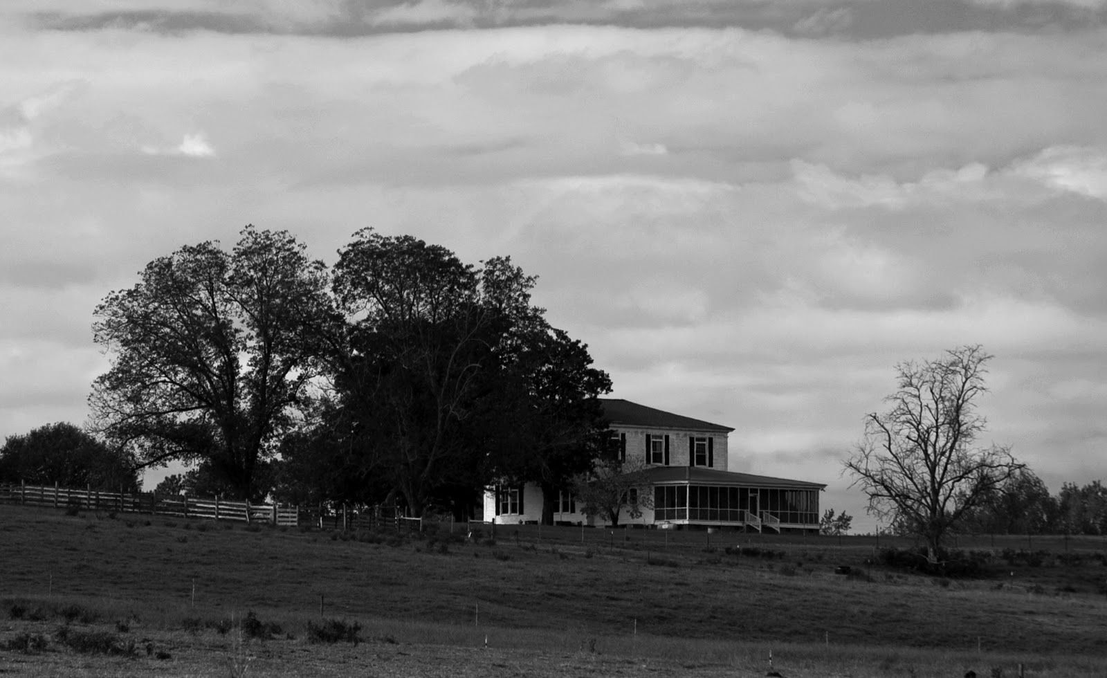 Legacy Arts Photography Color Purple Farm