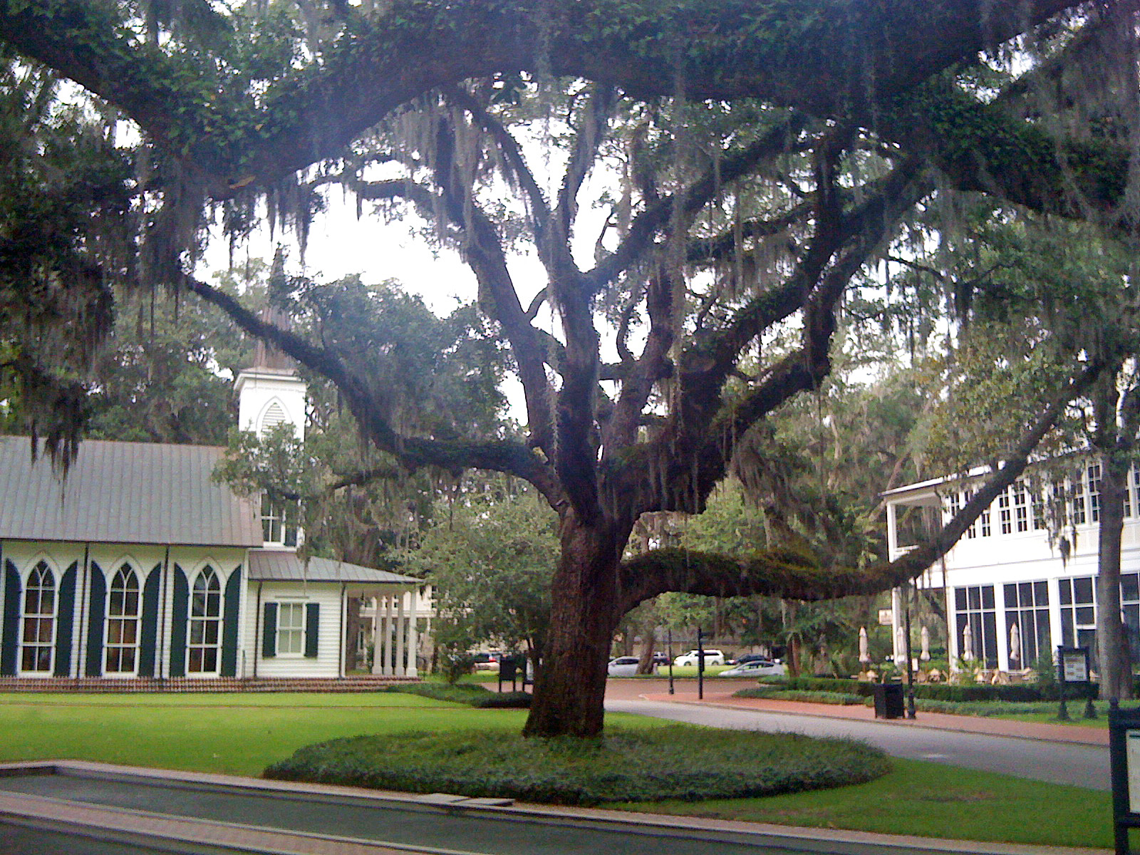 The Island Life Palmetto Bluff