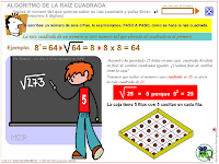 external image raices.png