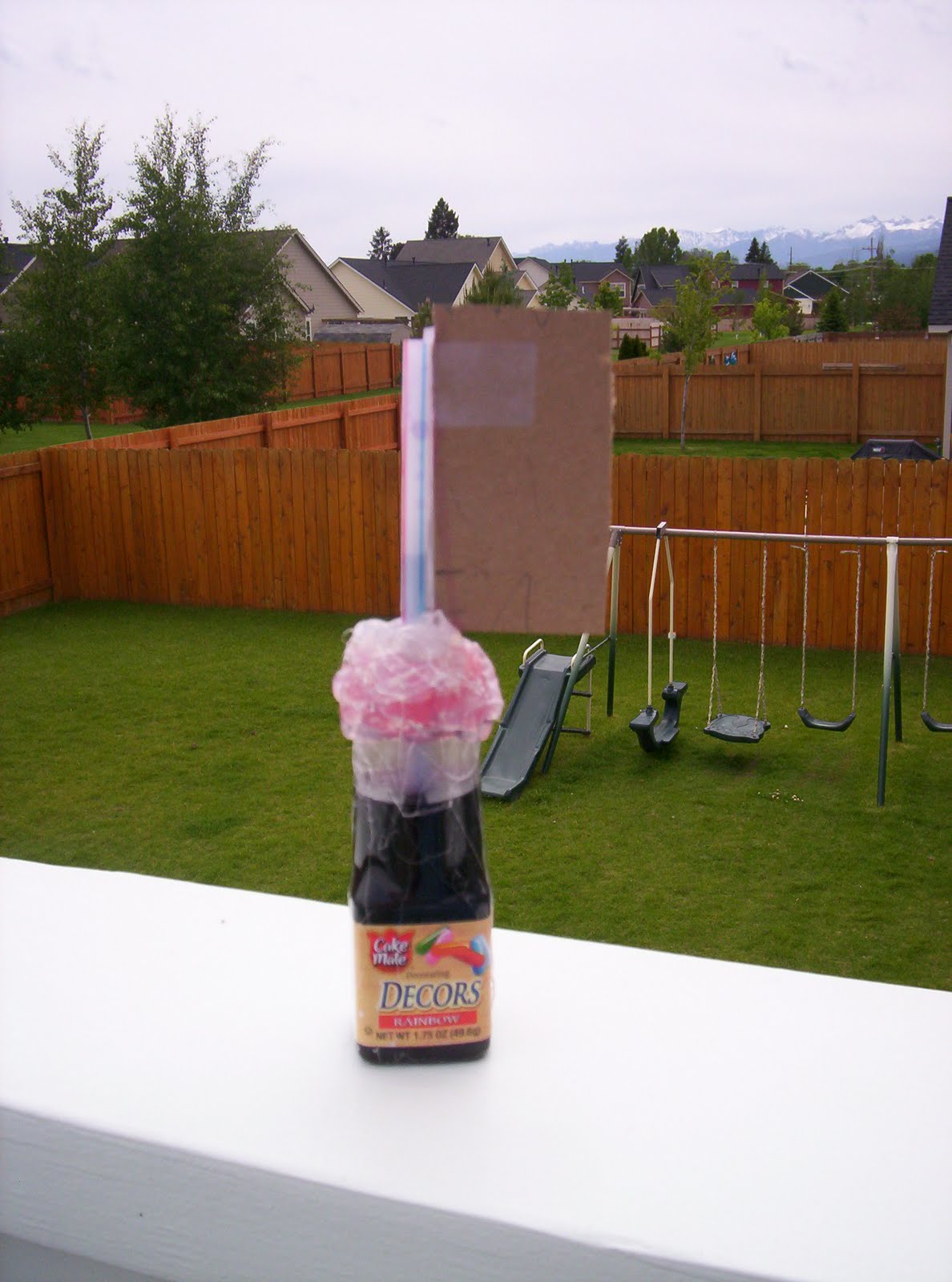 Almost Unschoolers Homemade Thermometer