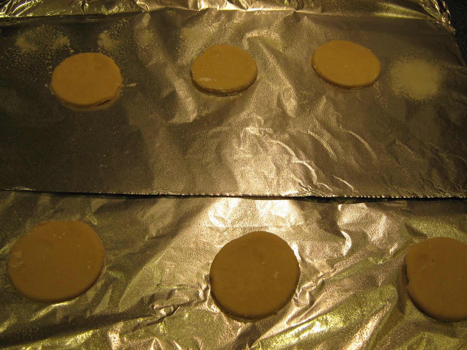 Almost Unschoolers (Opaque) Magnifying Glass Cookies