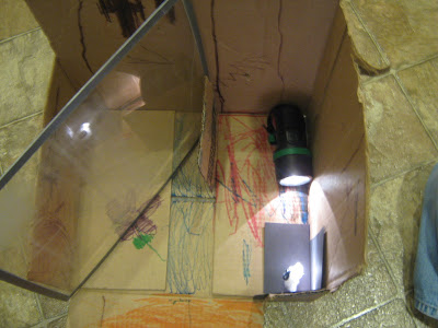 Almost Unschoolers: Pepper's Ghost in a Box for Kids