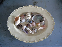 Rococo and shells