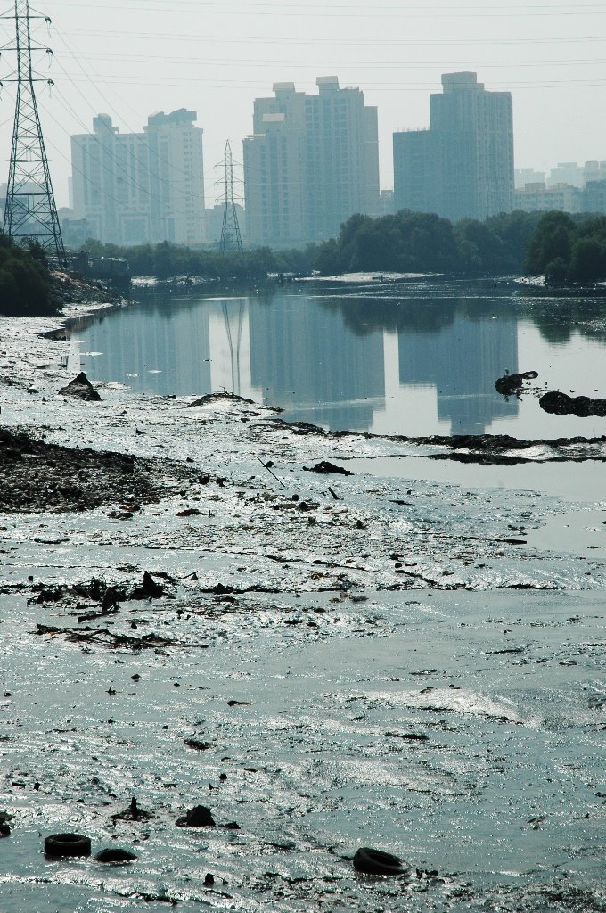 [Mumbai+silhouette+@+Oshiwara+River+by+Marco+Casagrande.JPG]