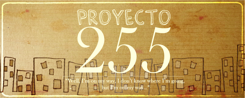 255