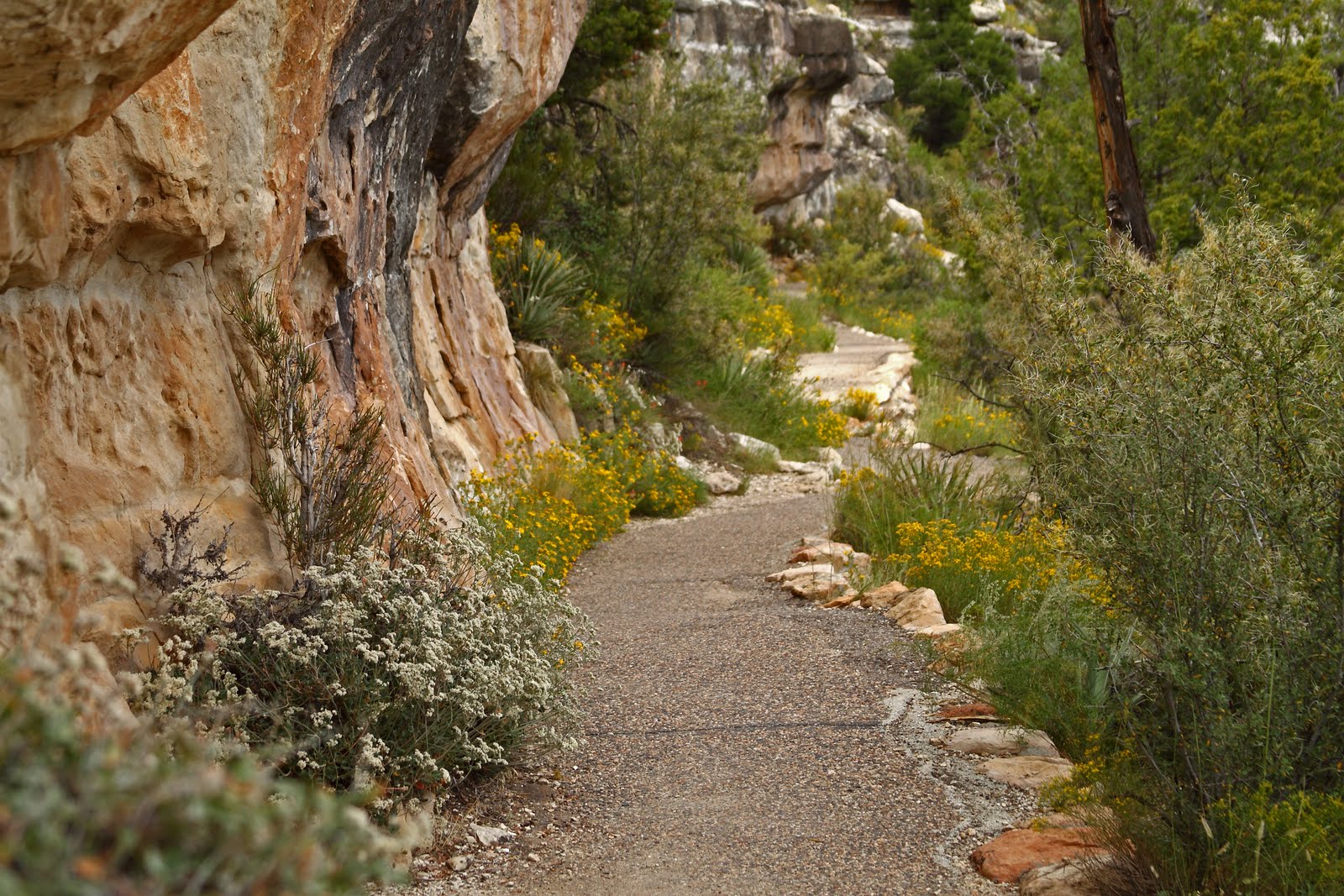 Around the Bend Friends ® Flagstaff Excursion 9/8/10 thru 9/12/10