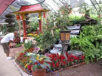 Booth of King Louis Flowers & Plants