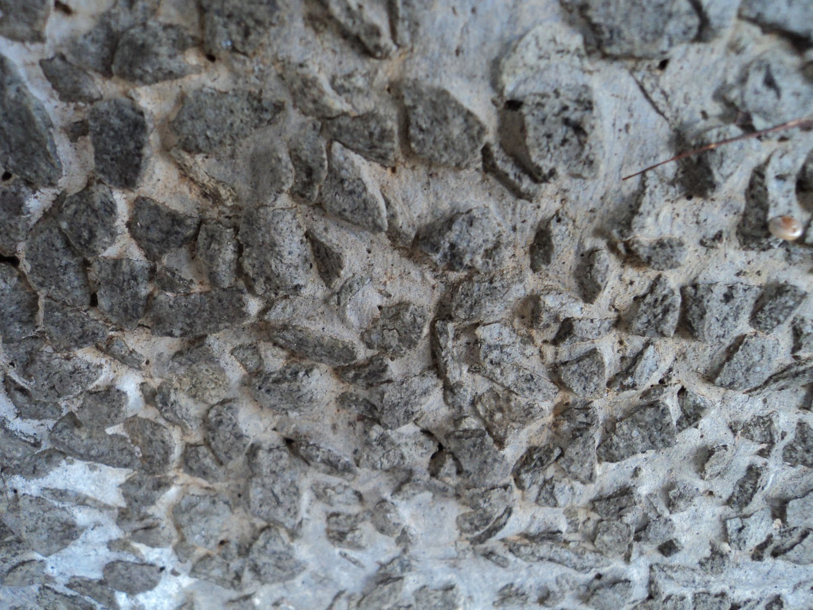 bayasizuka: texture