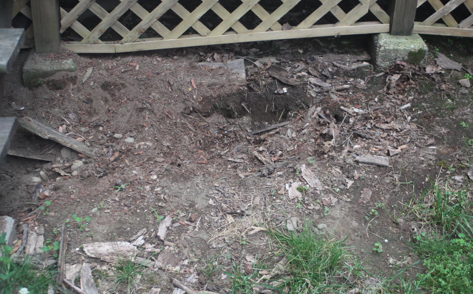 Garden on the Edge: June 2010