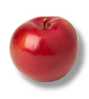 Red-Apple%5B1%5D.jpg