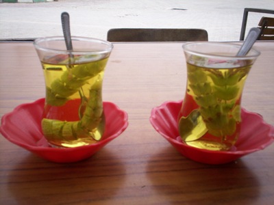 [illede_adacayi.jpg]