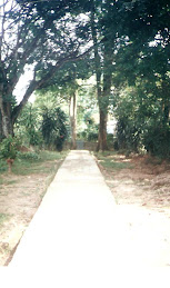 The Pathway