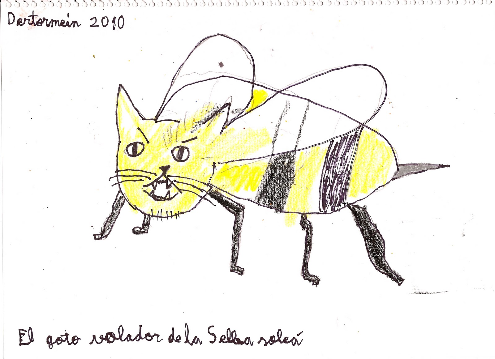 Te Imaginas Un Gato Volador Cuento