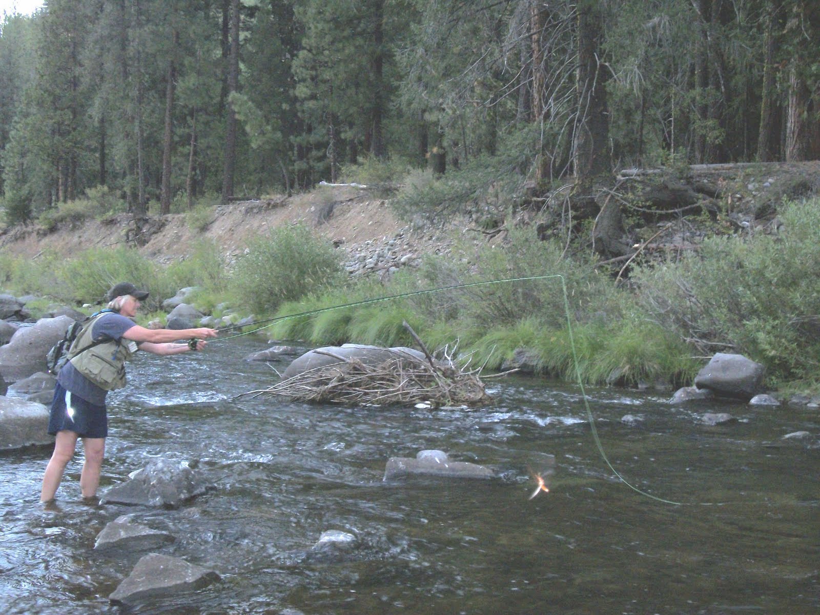 Jon Baiocchi Fly Fishing News Middle Fork Feather River Fishing Report