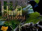 A Very Magcial Gardening Blog!