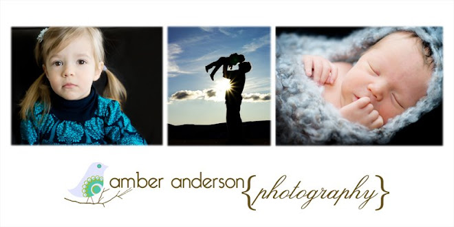 Amber Anderson Photography