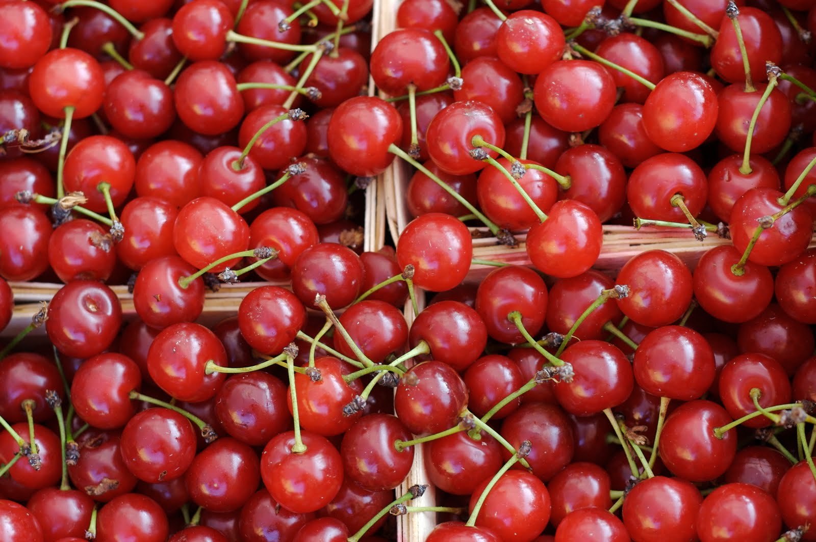 Cardamom Kitchen Sour cherries going, going...