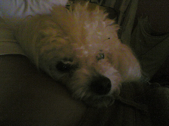 CAMILA & LUCAS