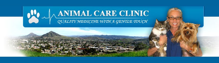 Animal Care Clinic Blog