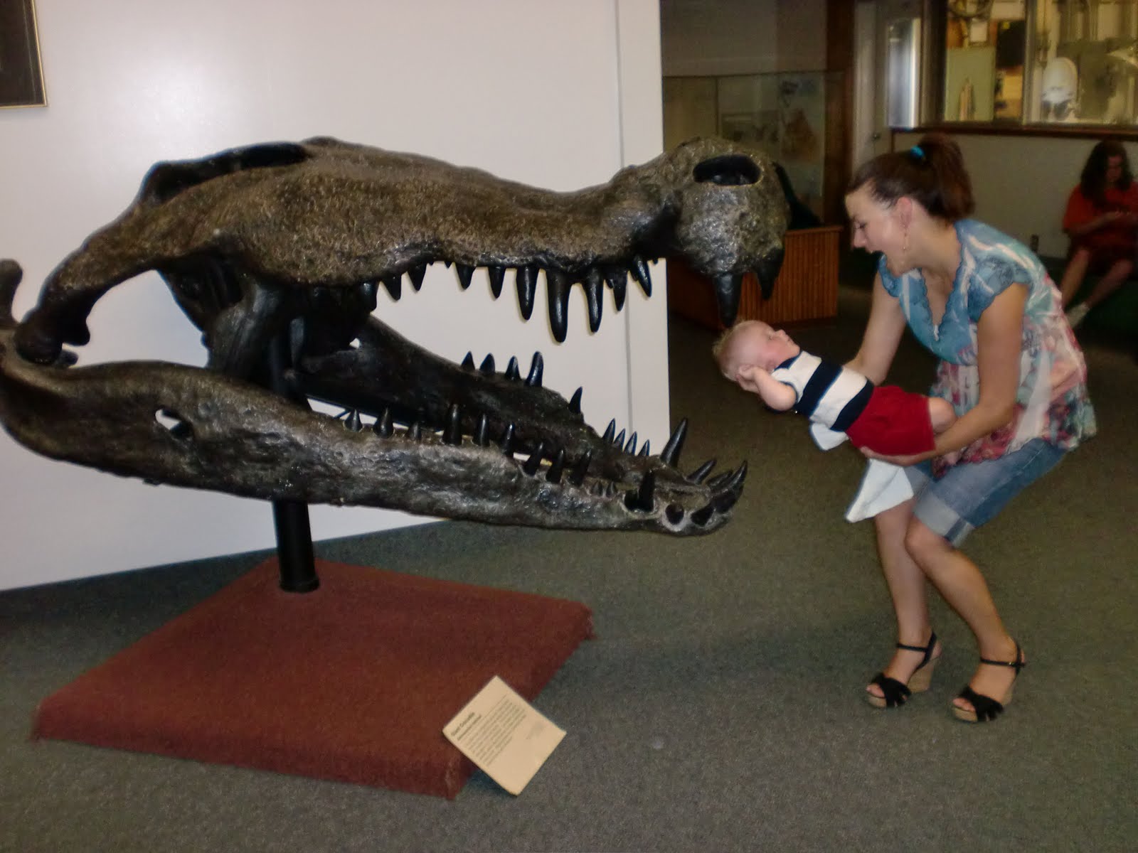 The Swensonics Dinosaur Museum in Provo, Utah