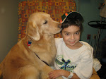 Therapy Dogs..