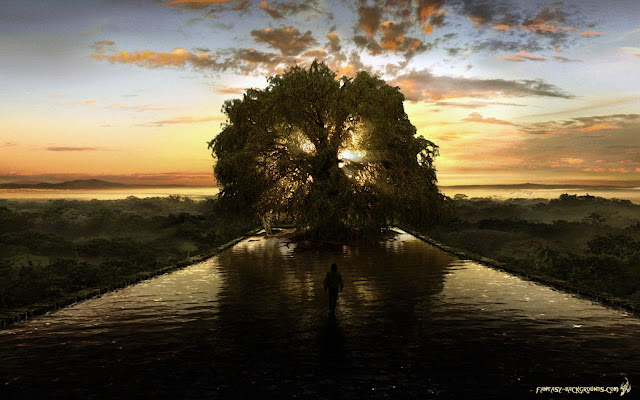 mystical-tree-in-fantasy-world-1680x1050.jpg