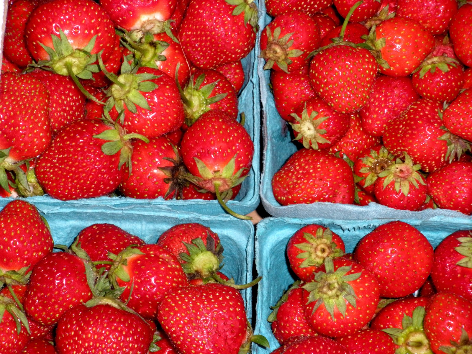 [A+Strawberries.jpg]