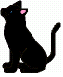 SWIFTSHADOW--First Medicine Cat