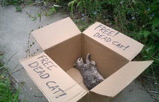 cat dead age old died good only tully promise