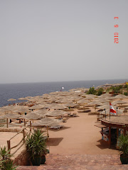The Reef Beach in Sharm