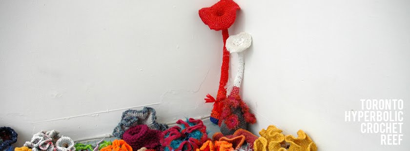 Toronto Hyperbolic Crochet Reef