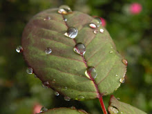 ಚಿತ್ರ ಚೌಕಟ್ಟು