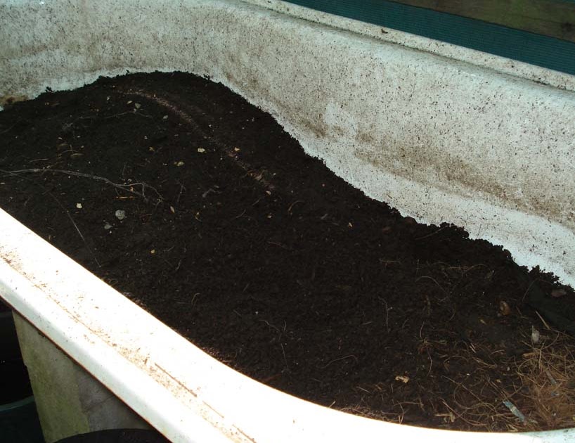 Down To Earth Worm Farm Fast Maintence, How To Make A Worm Farm In Bathtub