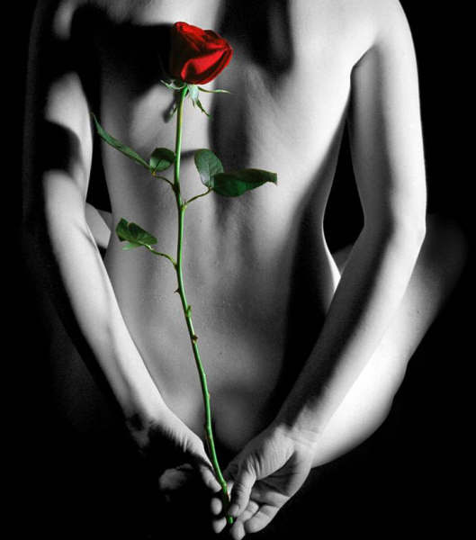 [2zwe4mlv0cabyru6z1qlr1rqn3.jpg]