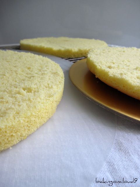 [durian+spongecake2.jpg]