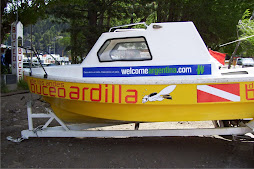 Ardilla Buceo. Plotter de imagen y corte