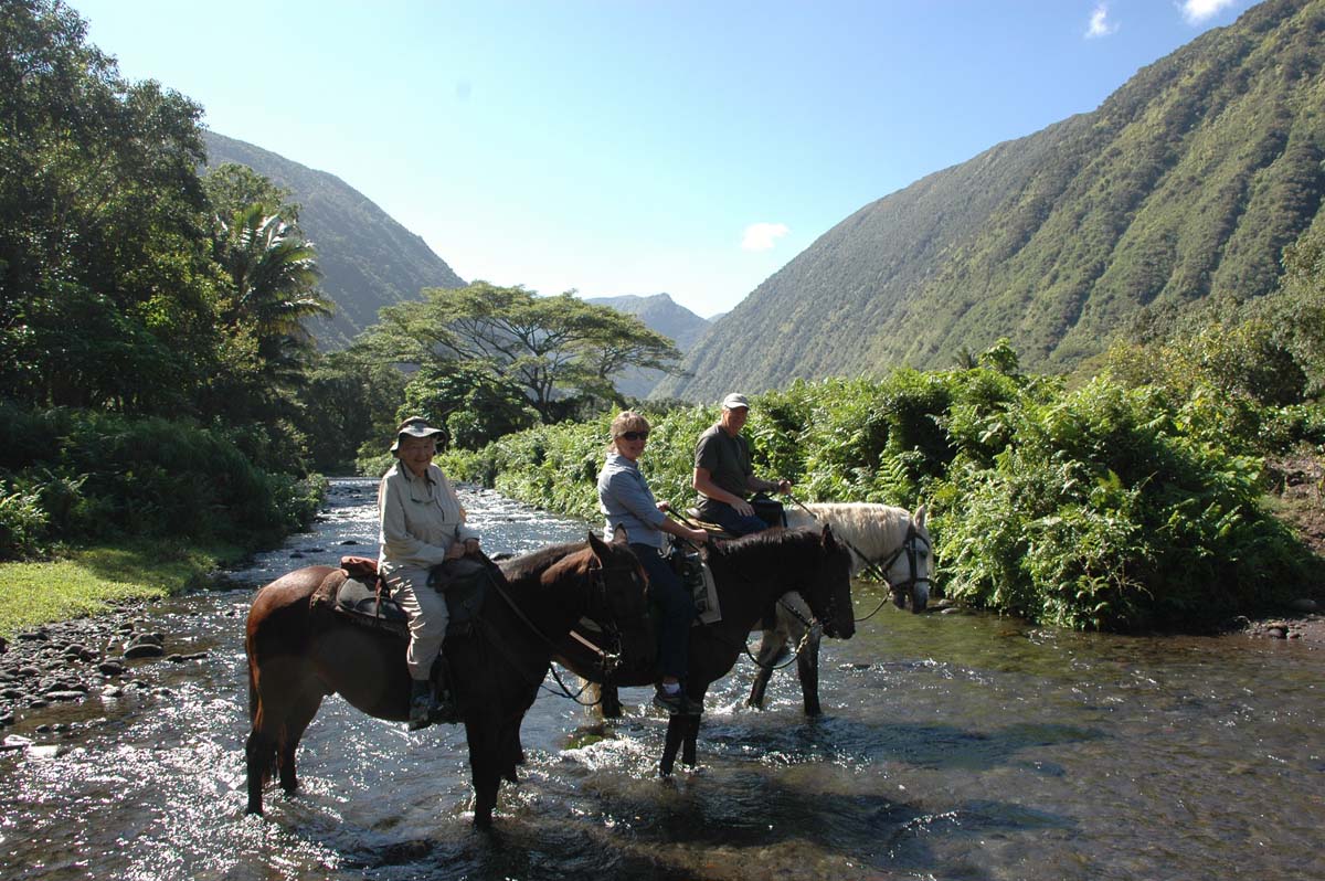 OrcaPress Dec. 6 Horse Riding in Hawaii